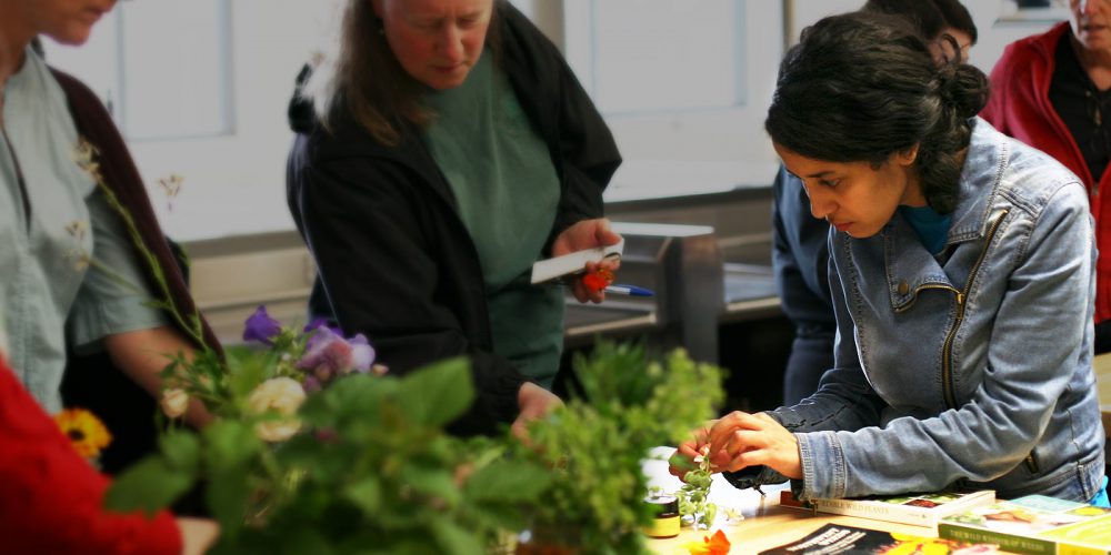 Students learn about edible flowers