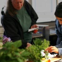 Students learn about edible flowers