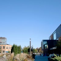 Cascade building exteriors and walkway with plants