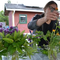 As Lindsey learned more about flowers and came to love them, she has re-aligned her professional and personal interests to focus on the spiritual qualities of flowers, rather than their horticultural aspects.