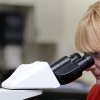 Teresa Wolfe looking into a microscope