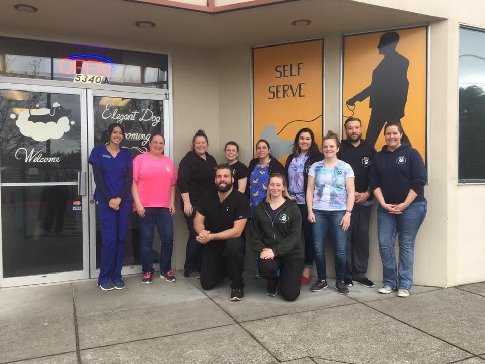 Student volunteers at the Hillsboro Elegant Dog dog wash where they raised $2,000 for a four-legged friend in need.