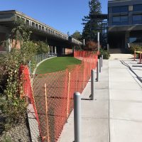 A new Plaza Access Lane was recently built between Sylvania's College Center and Health Technology buildings to provide ADA access as well as emergency and construction vehicles to the west side of campus via the G Street ring road.