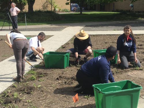 People working in garden.