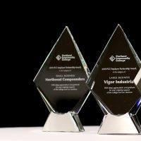 Awards against black backdrop.