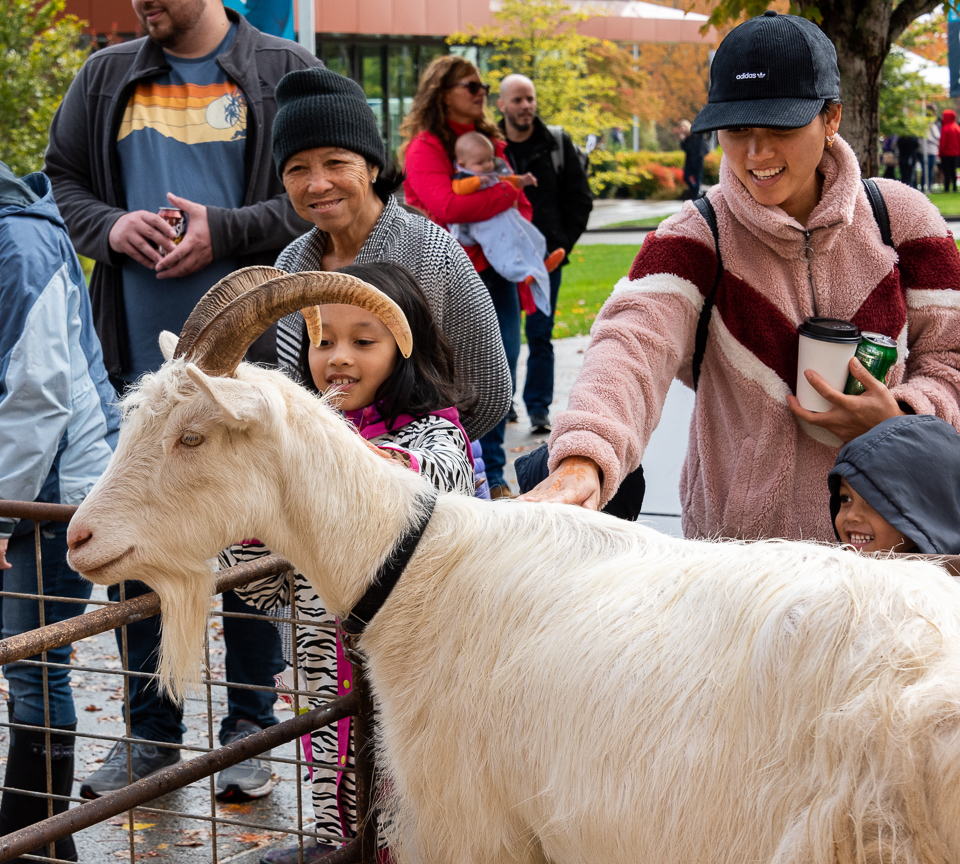 children and adults reaching to pet a goat