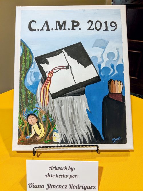 Diana's project cover.