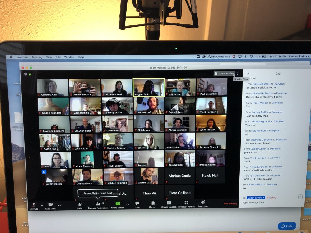 screenshot of large video meeting group and chat window