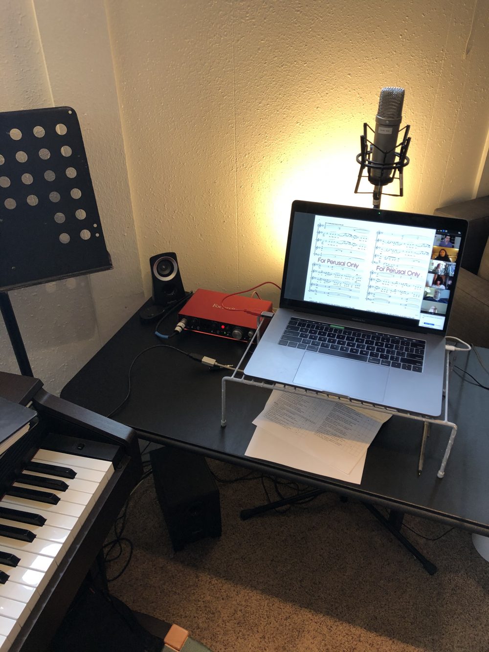 home recording and performance set-up