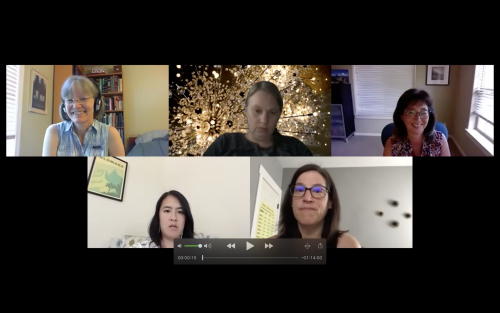 A screenshot of participants from the Delivery Workgroup