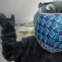 Poppie the Panther wearing a mask
