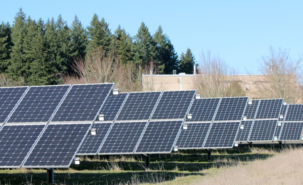 solar array at Rock Creek.