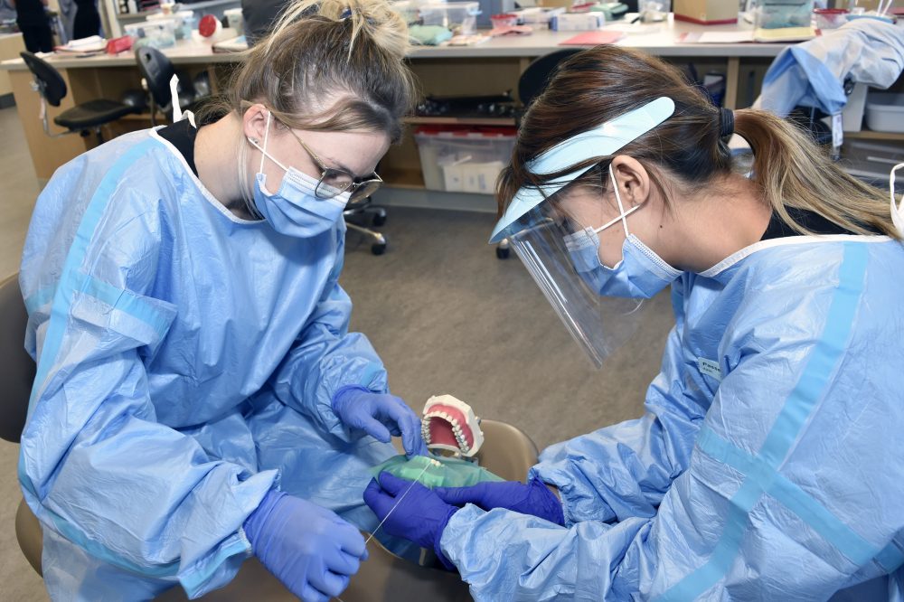 Students are back for unperson dental training