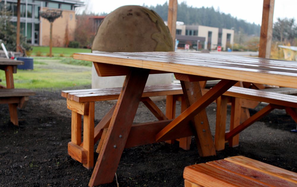 An accessible bench at Rock Creek Learning Garden.