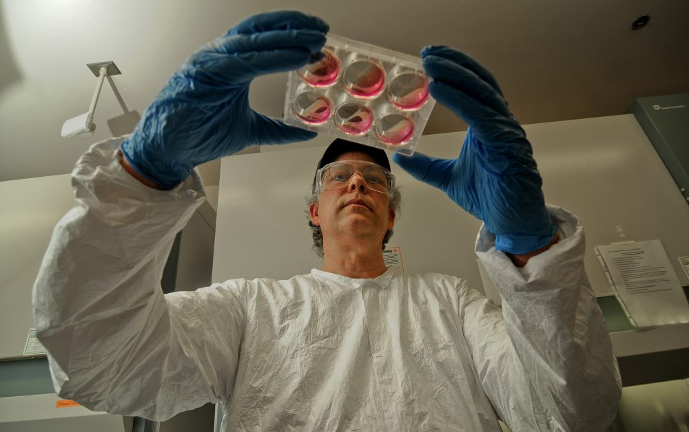 Bioscience technician.