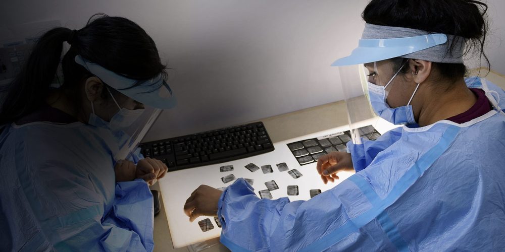 Dental students analyzing x-rays