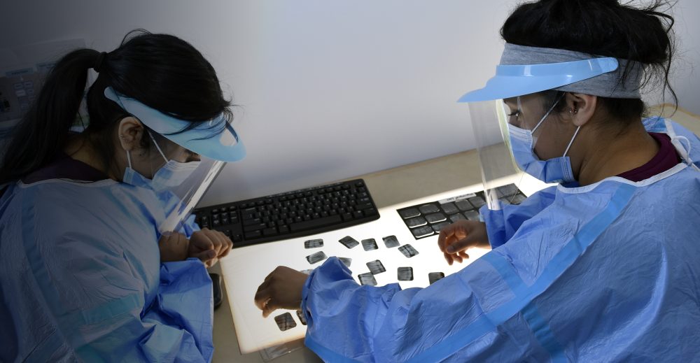 dental students analyze x-rays