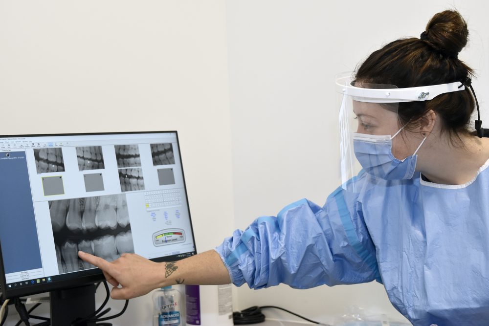 student looks at x-rays