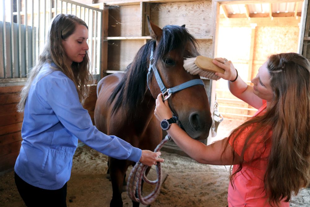 Rebekah Kermoyan and Maryrose Gilliland with a horse.