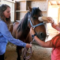 Rebekah Kermoyan and Maryrose Gilliland with a horse.