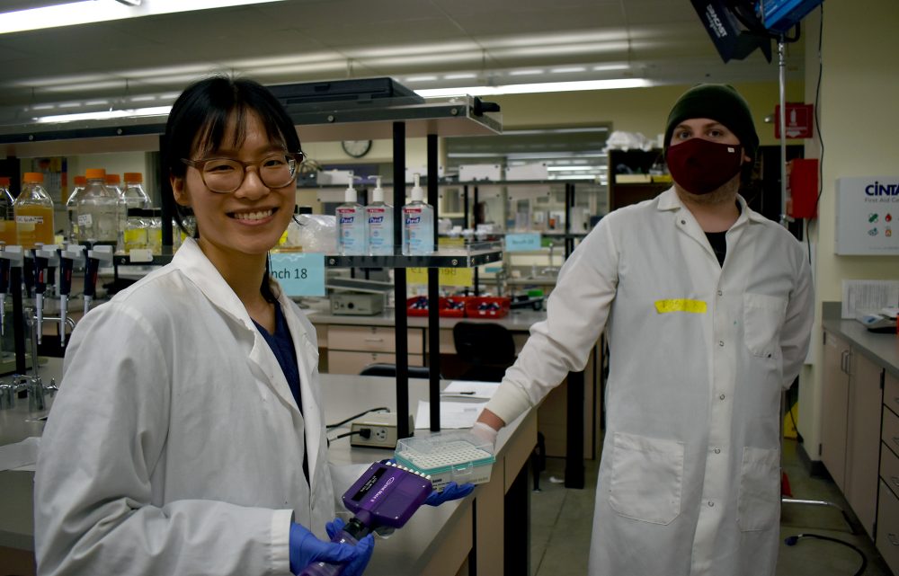 Bioscience students Annie Chung and Essau Klopfenstein.in the PCC lab.