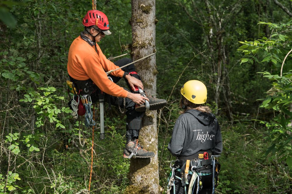 Arborist Tree Climbing Instructor Robert Bundy