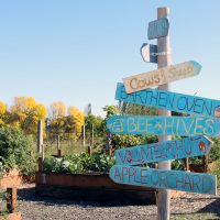 learning garden at RC