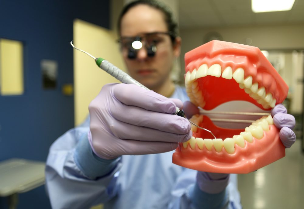 Dental hygiene student