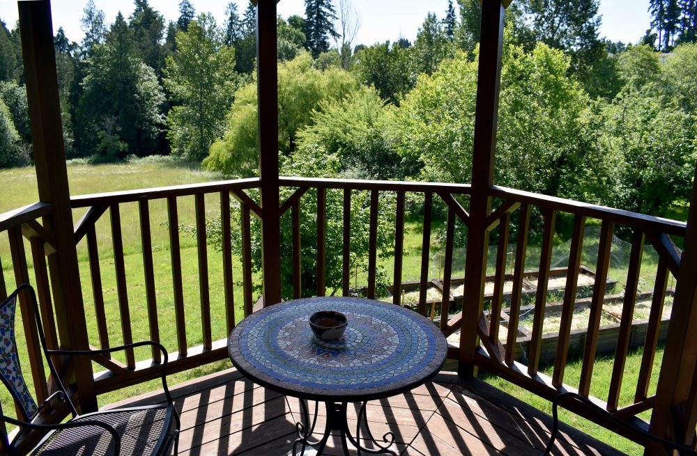 A view from the Carolyn Moore house.