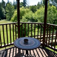 A view from the Carolyn Moore house.
