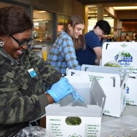 Stocking the free food market.