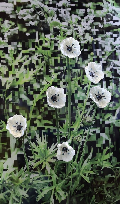 Hannah Newman, Simulation Field, 2025, AI generated image printed on acrylic