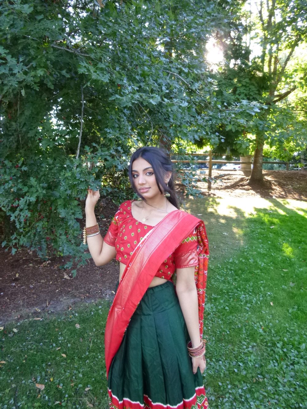 Young woman in red and gold Indian sari.