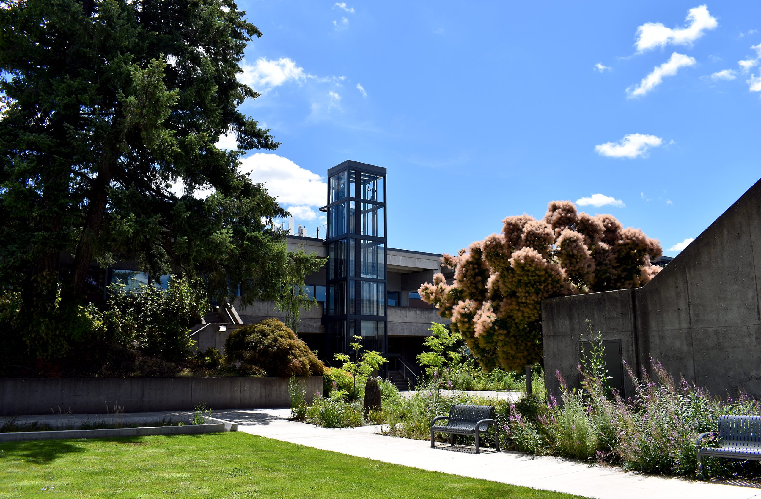 HT Courtyard.