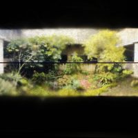 Posterized color Image of verdant green PCC Campus with brutalist concrete building courtyard.