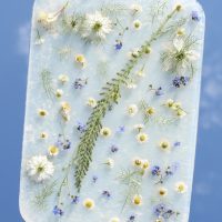 Translucent panel of wildflowers and seeds.