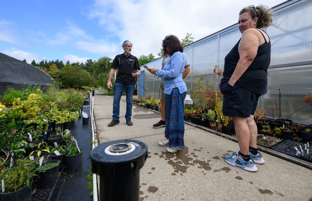 Rock Creek nursery