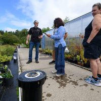 Rock Creek nursery
