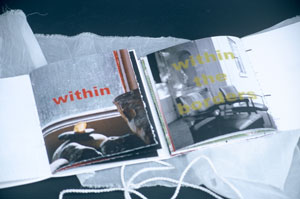 Roberta Lavadour's New Skin