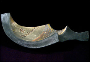 Student Ben Eberle, San Jose State University, New Jersey Leaf Series #8.