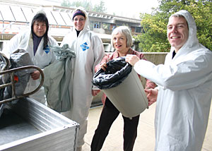 The Green Team - April Fong, Kim Smith, Linda Gerber and Josh Liebschutz.