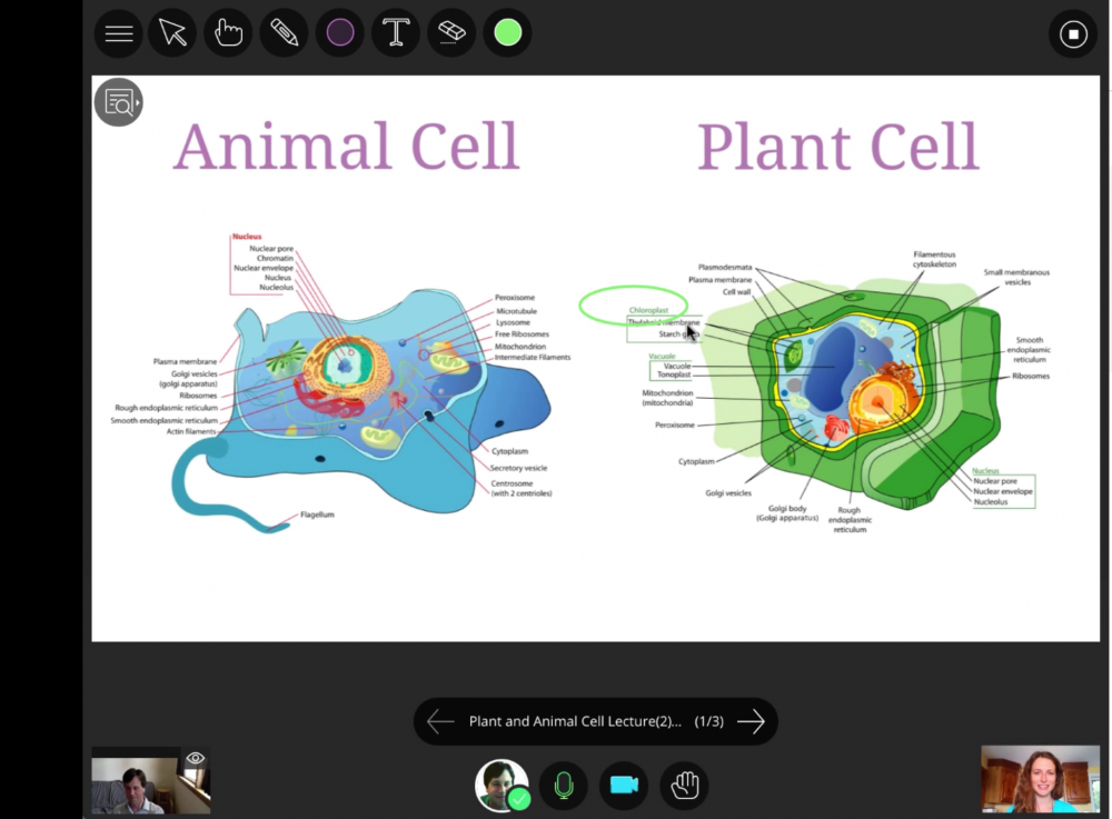 the new collaborate ultra interface has a lot less junk on it.