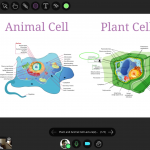 the new collaborate ultra interface has a lot less junk on it.