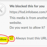 Films On Demand Blocked Message, click Allow to view the video