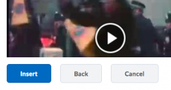 insert button adds video to page