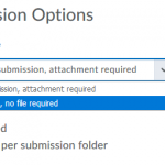 choose text submission as an assignment option.