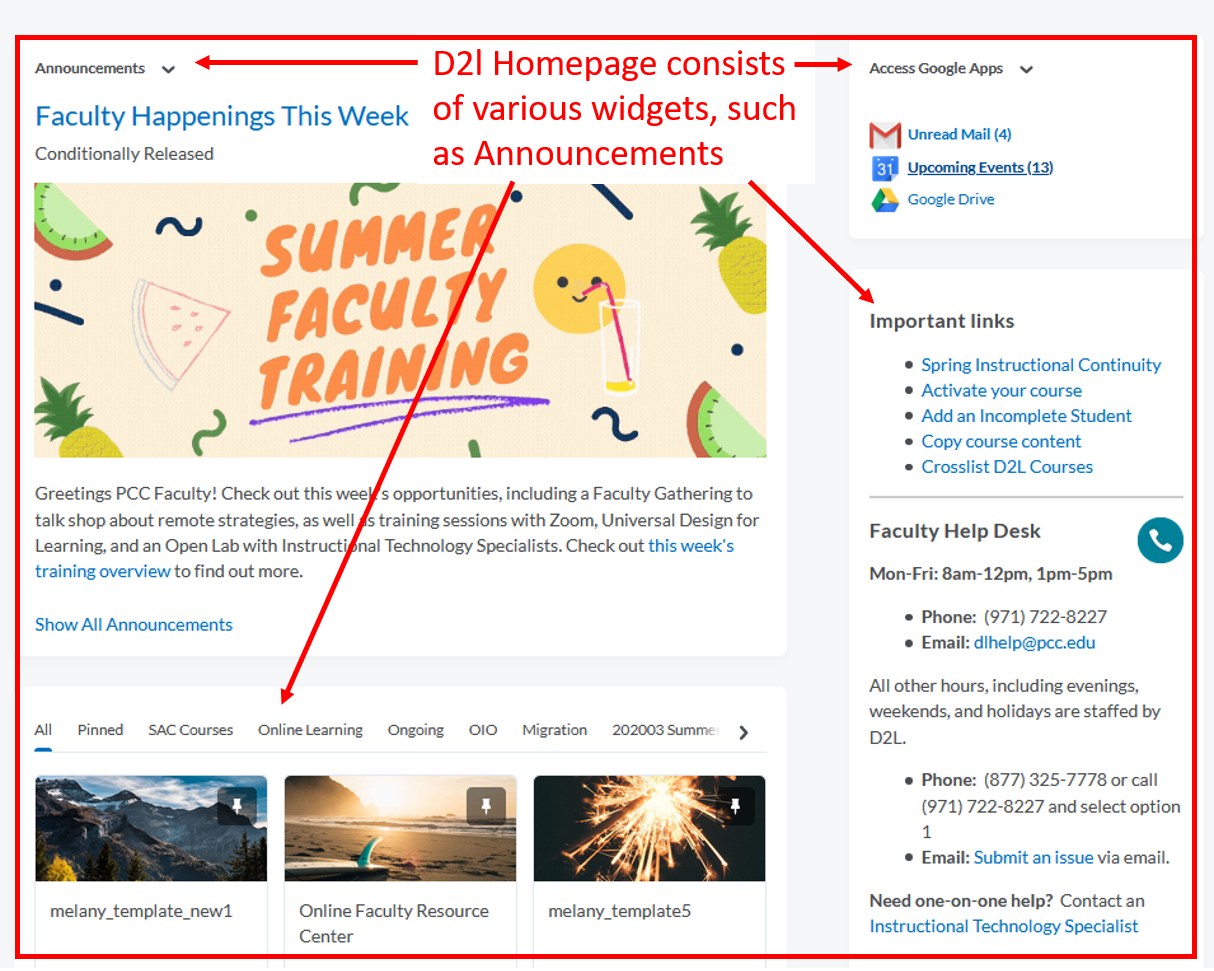 D2l Homepage: homepage area