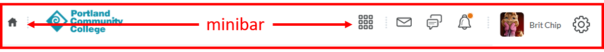 D2l Homepage: minibar area