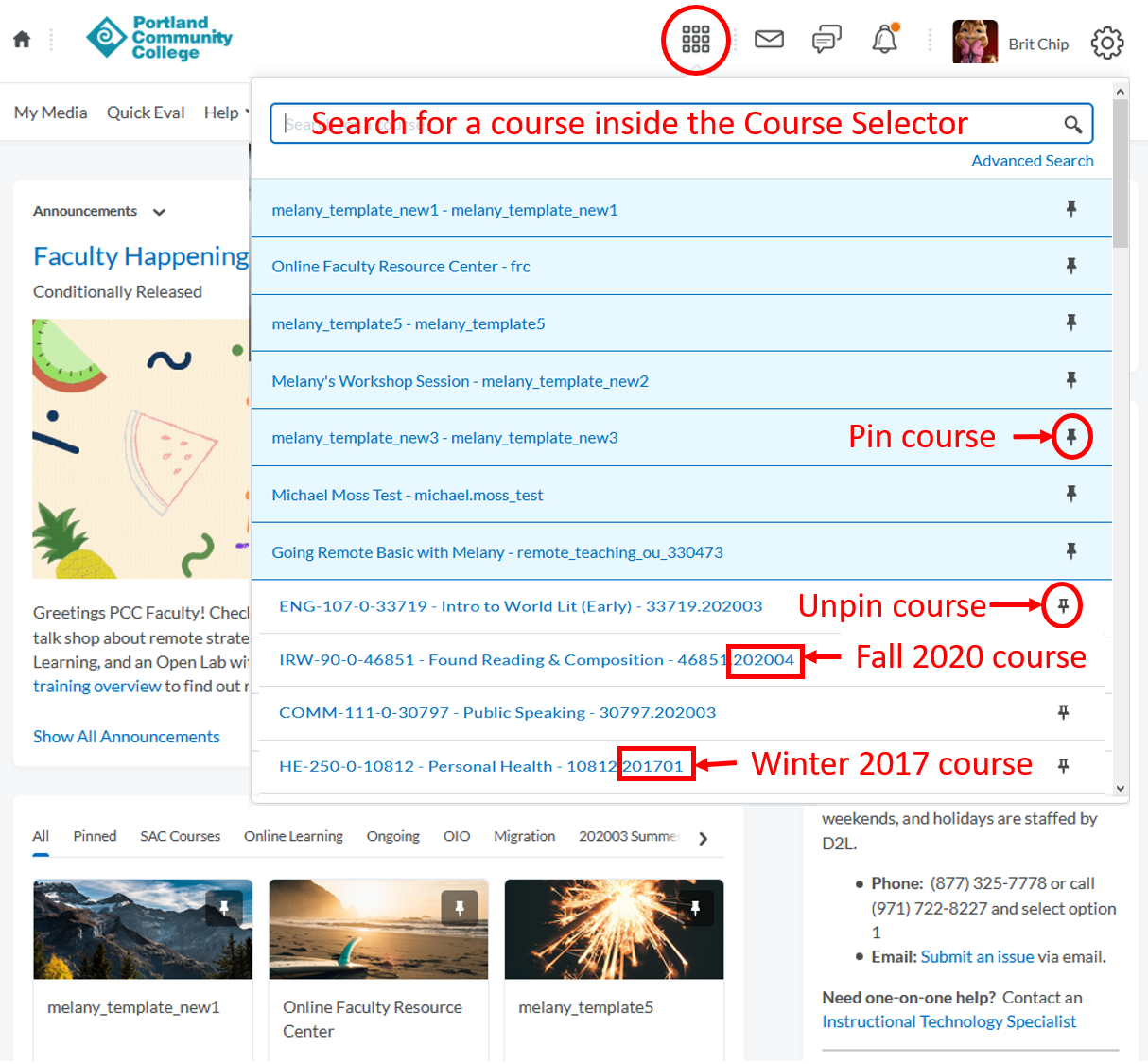 D2l Homepage: minibar area -Course selector options