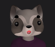 A zoom avatar of a racoon.